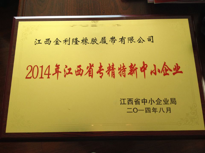 專(zhuān)精特新中小企業(yè)